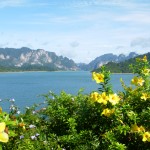 Khao Sok lake