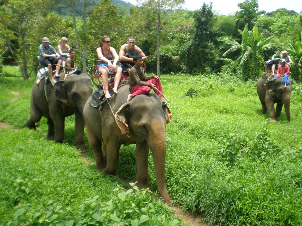 Khao Lak - Elefantenreiten