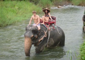 Elefantenreiten in Khao Lak, ein Spass für die ganze Familie