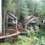 Khao Sok Safari - Übernachtung im Baumhaus